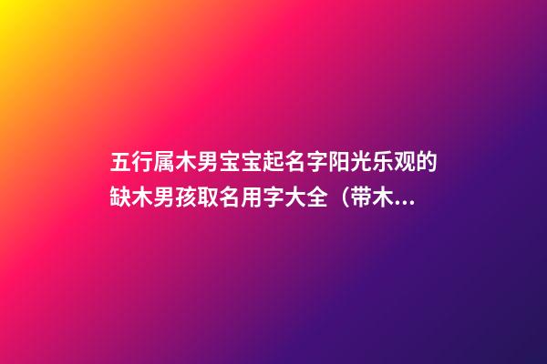 五行属木男宝宝起名字阳光乐观的缺木男孩取名用字大全（带木字的男孩名字大全 五行缺木怎么起名）